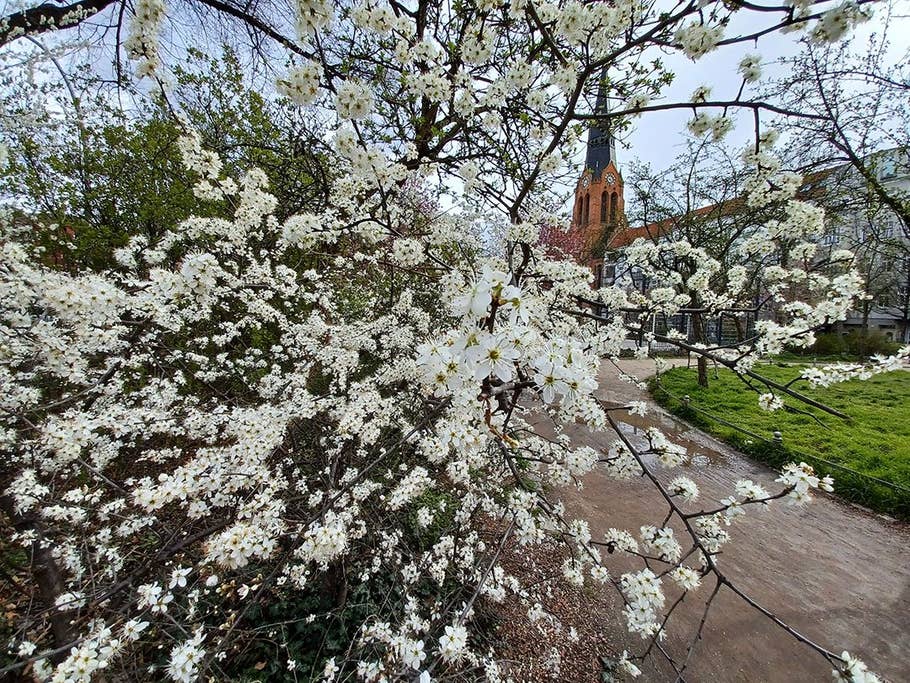 Samsung Galaxy A32 5G, camera test, results, ultra-wide