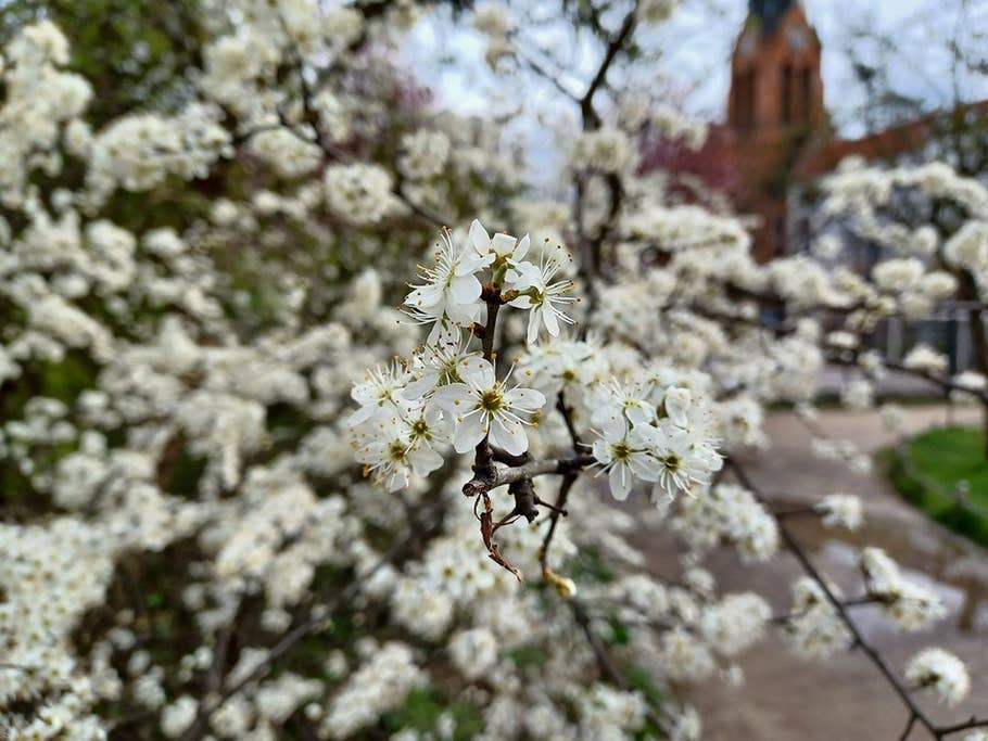 Samsung Galaxy A32 5G, camera test, results, wide