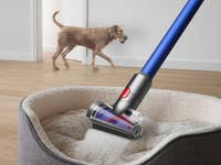 Dyson V11 vacuuming pet hair