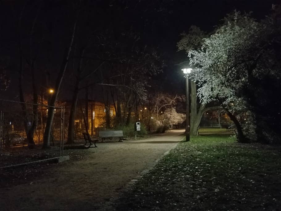 Xiaomi 13C sample photo 8