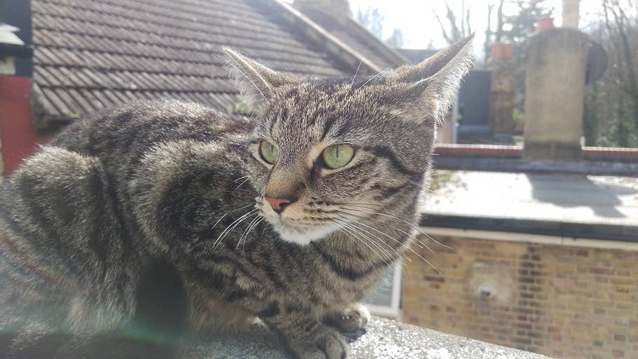 htc one m9 camera, htc one m9 gallery, htc one m9 pictures, htc one m9 camera test