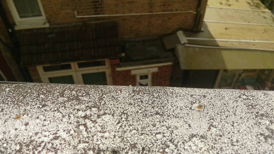 htc one m9 camera, htc one m9 gallery, htc one m9 pictures, htc one m9 camera test