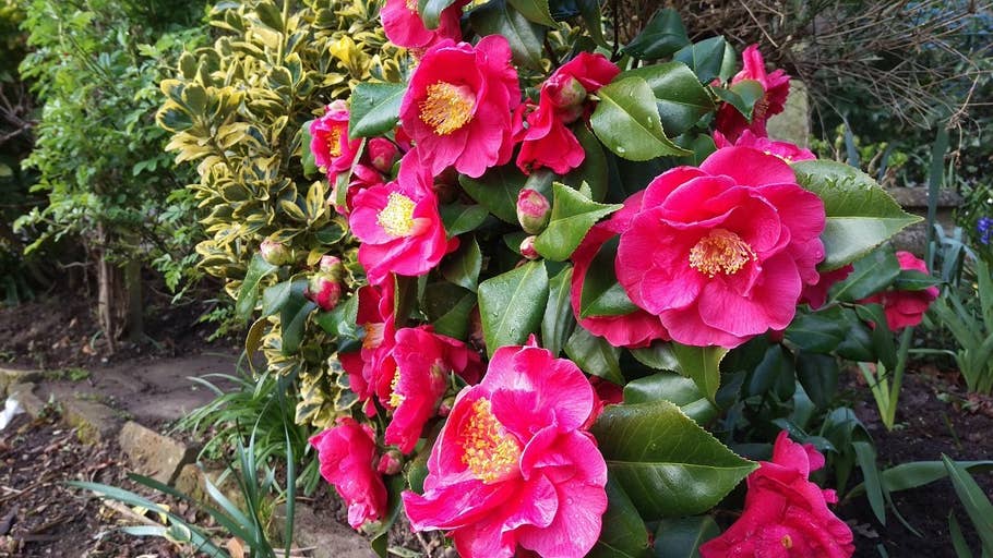 u003cfigureu003eu003cimg altu003d'htc one m9 test 03' srcu003d'http://fs04.androidpit.info/userfiles/2692059/image/Blog/