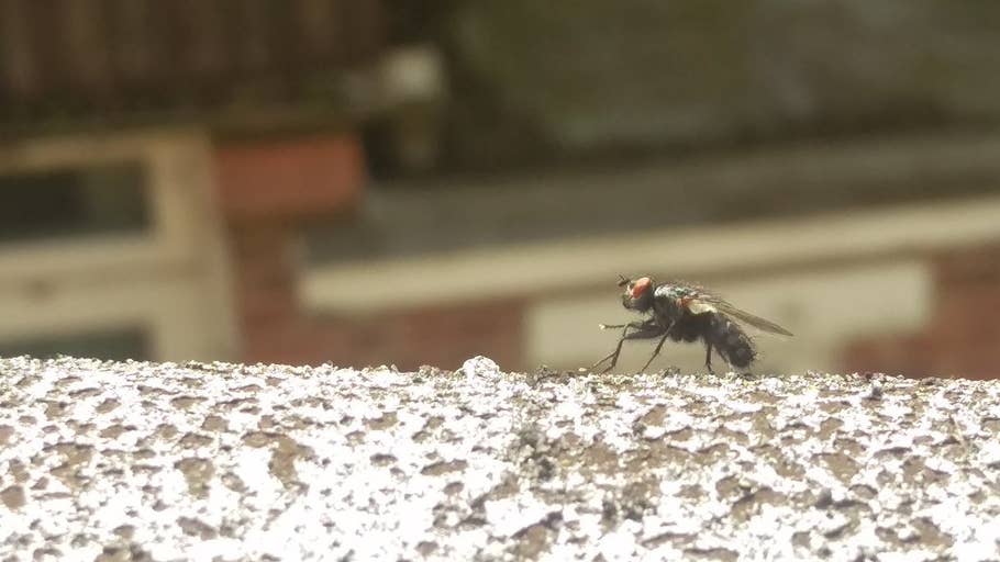 htc one m9 camera, htc one m9 gallery, htc one m9 pictures, htc one m9 camera test