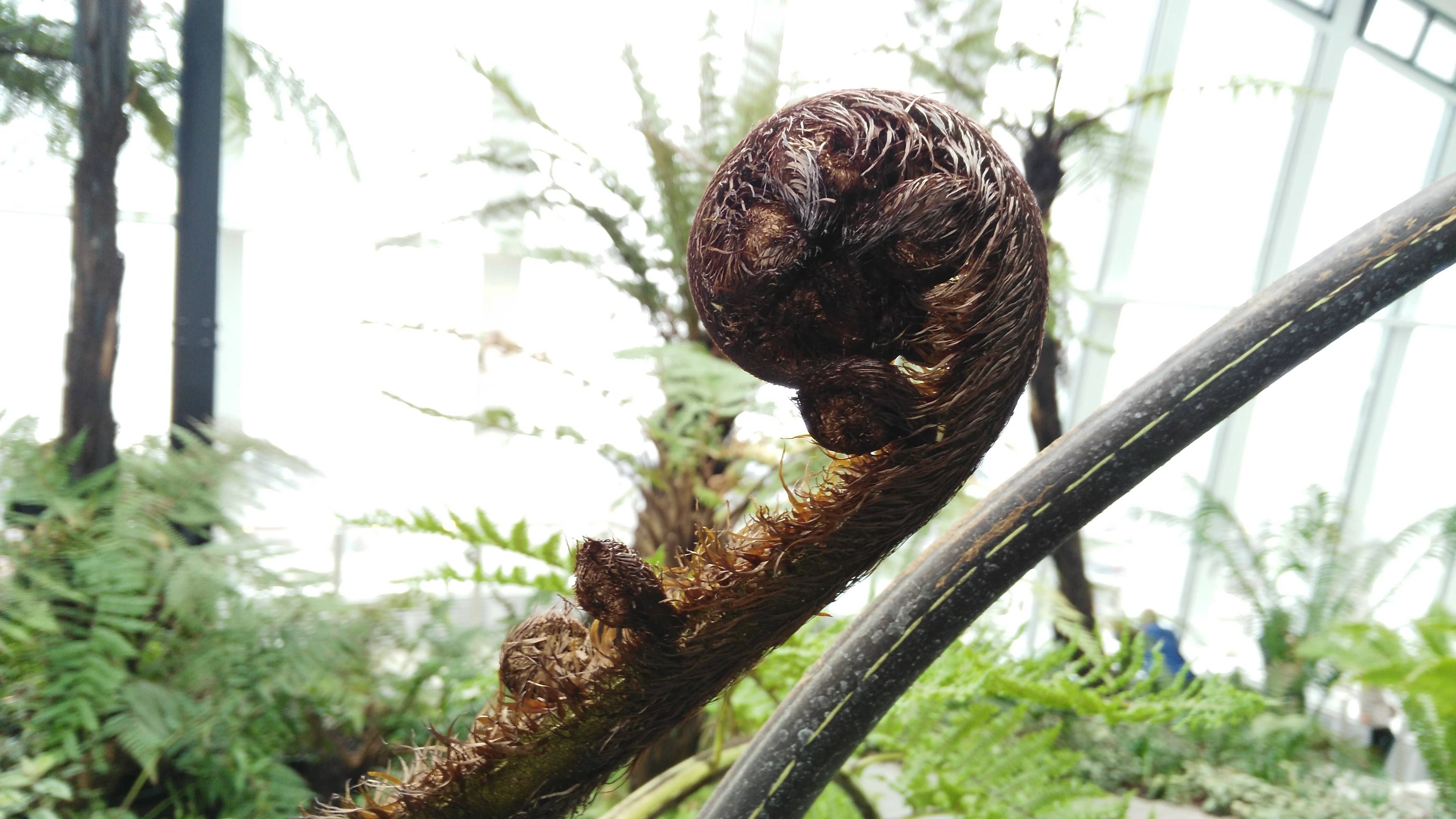 androidpit huawei ascend g7 photo 2