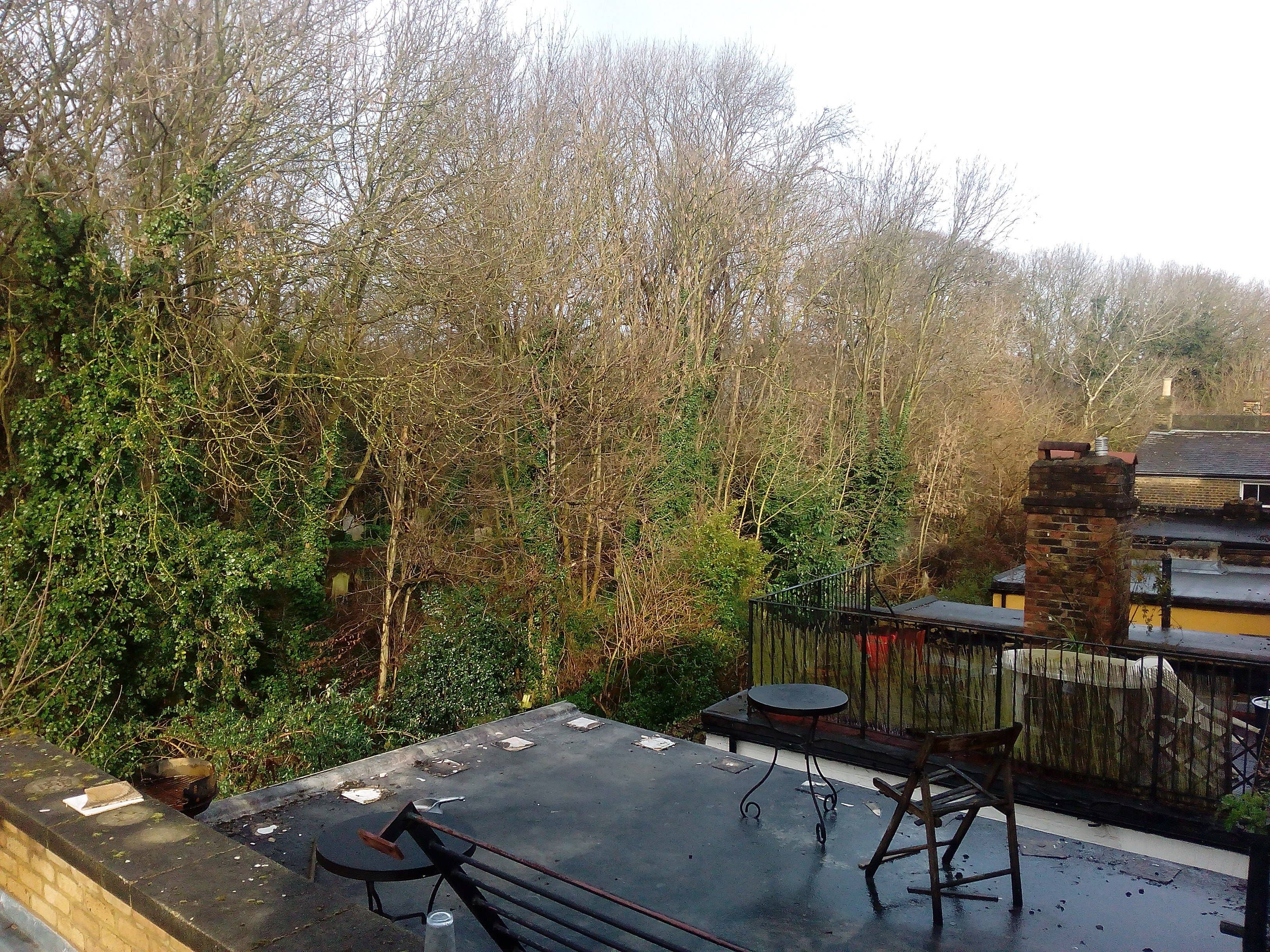 androidpit huawei honor holly photo