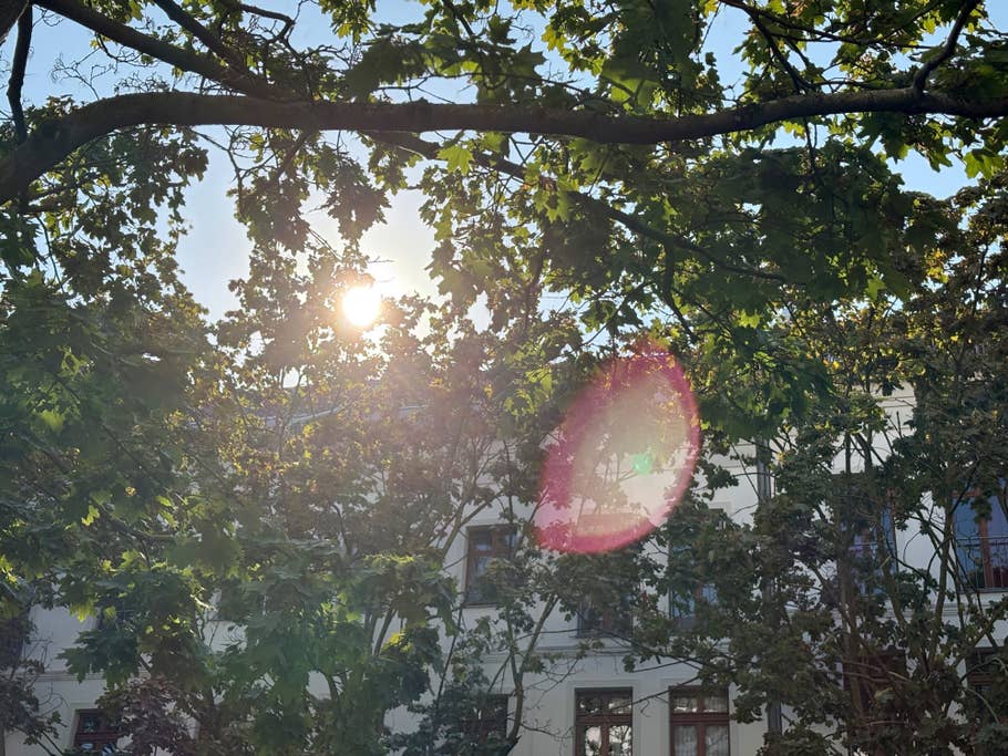 Unfortunately, lens flares also occur with this iPhone camera.