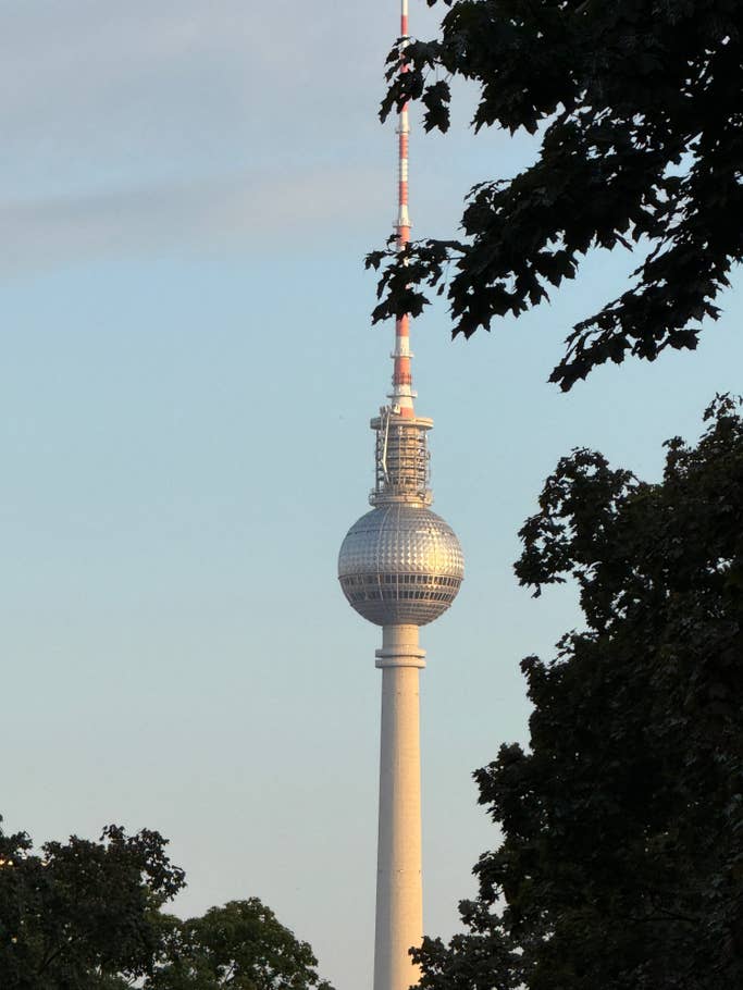 The Berlin TV tower, framed by trees at sunset.