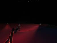 A screenshot of the game Beyond Blue.