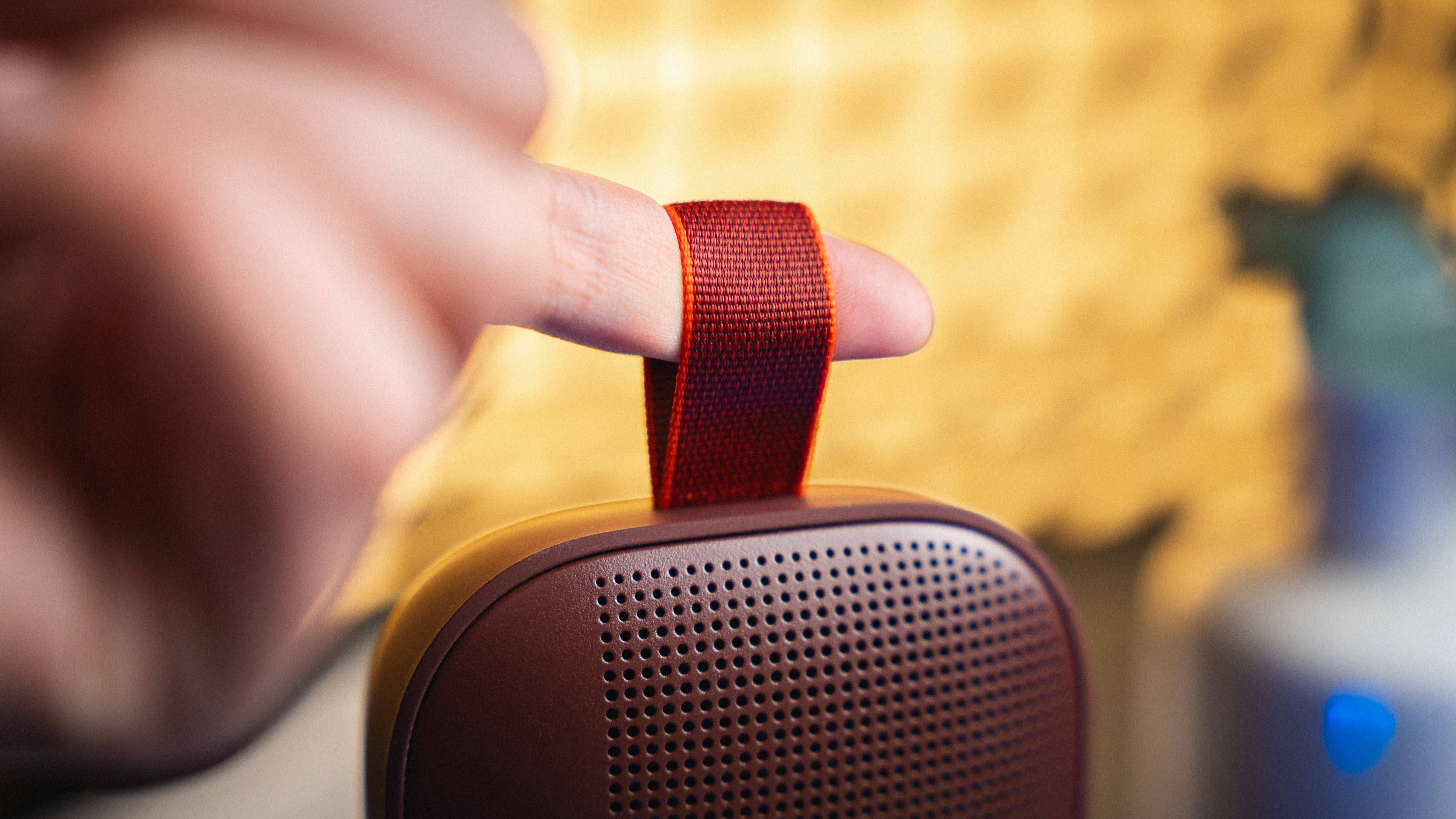 Bose Soundlink Flex carrying strap