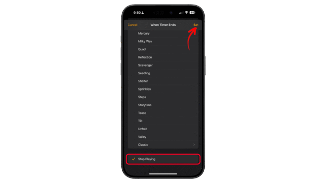 Select Stop Playing in the timer option. iPhone screen displaying timer options with u0027Stop Playingu0027 selected.