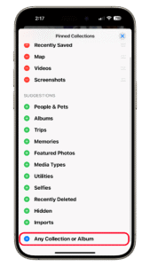 Scroll down and tap on Any Collection or Album. A phone screen displaying u0027Pinned Collectionsu0027 with various categories and an option to add u0027Any Collection or Albumu0027.
