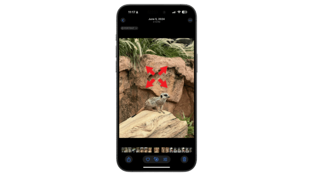 Select a photo to zoom and then zoom in when viewing it. A smartphone displaying a photo of a meerkat on a rock, with red arrows pointing to it.