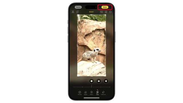 Adjust or edit further and then tap Done. A photo editing interface on an iPhone displaying a meerkat image with a u0027Doneu0027 button highlighted.