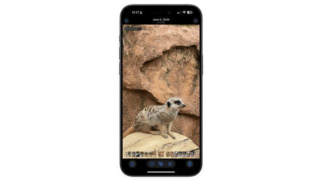 You can further edit the photo. A phone displaying a photo of a meerkat on a rock against a textured background.