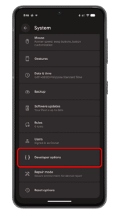 Tap Developer options to open the settings and see more features. Settings menu on an Android device showing various system options including Developer options highlighted.