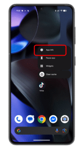 Tap on the App info to see the app archive option. Android smartphone screen showing app options with u0027App infou0027 highlighted.