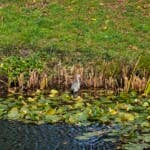 50 MP, f/2.8, 80mm (periscope telephoto), 7x zoom A picture taken with the OnePlus 15