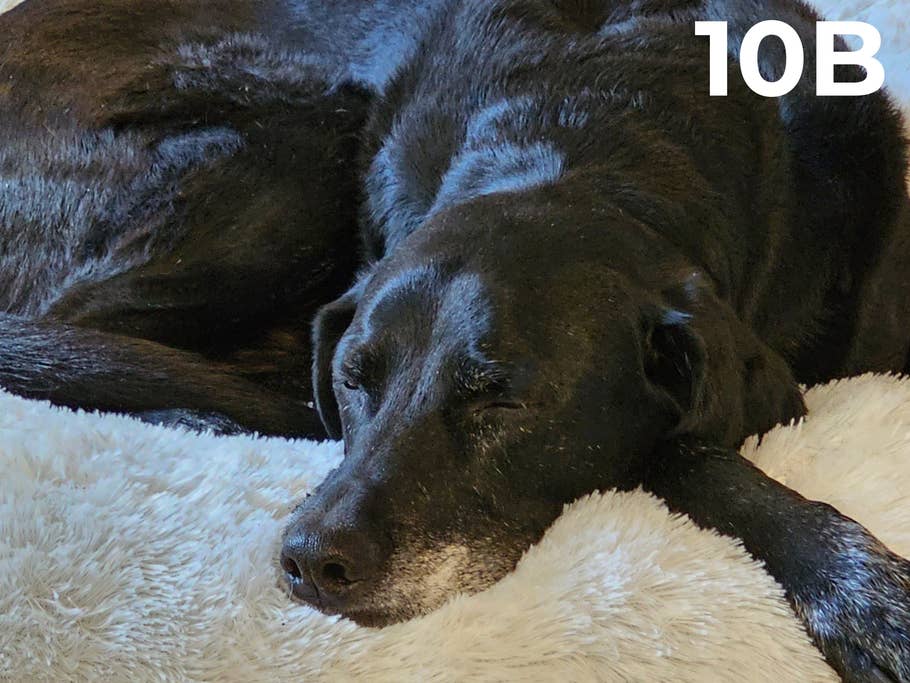 Camera Blindtest 2023