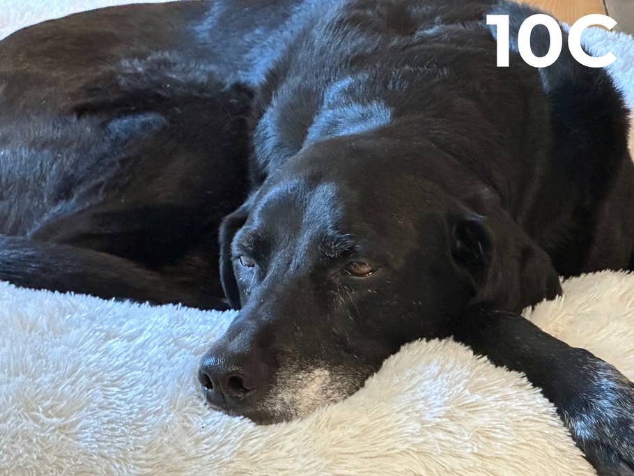 Camera Blindtest 2023