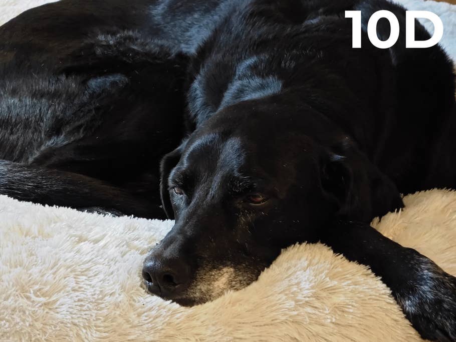 Camera Blindtest 2023