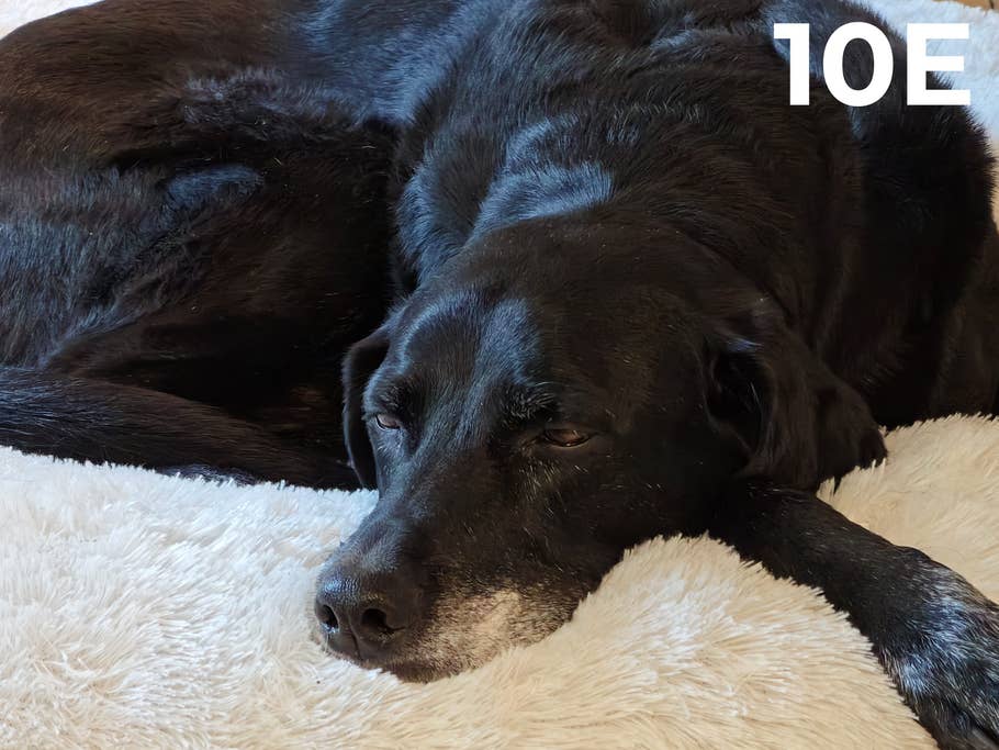 Camera Blindtest 2023