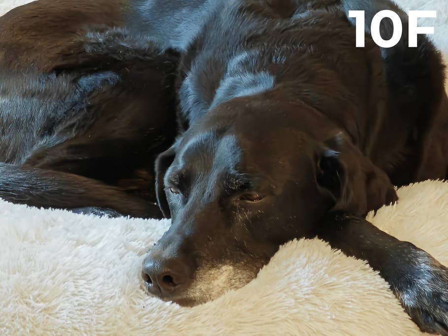 Camera Blindtest 2023