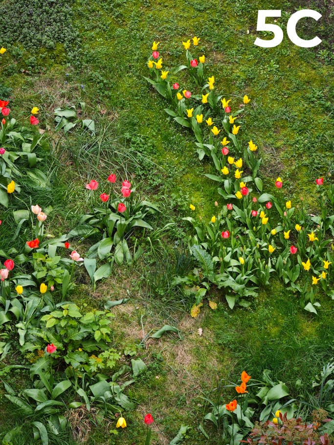 Camera Blindtest 2023