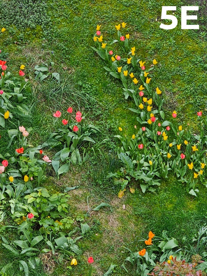 Camera Blindtest 2023