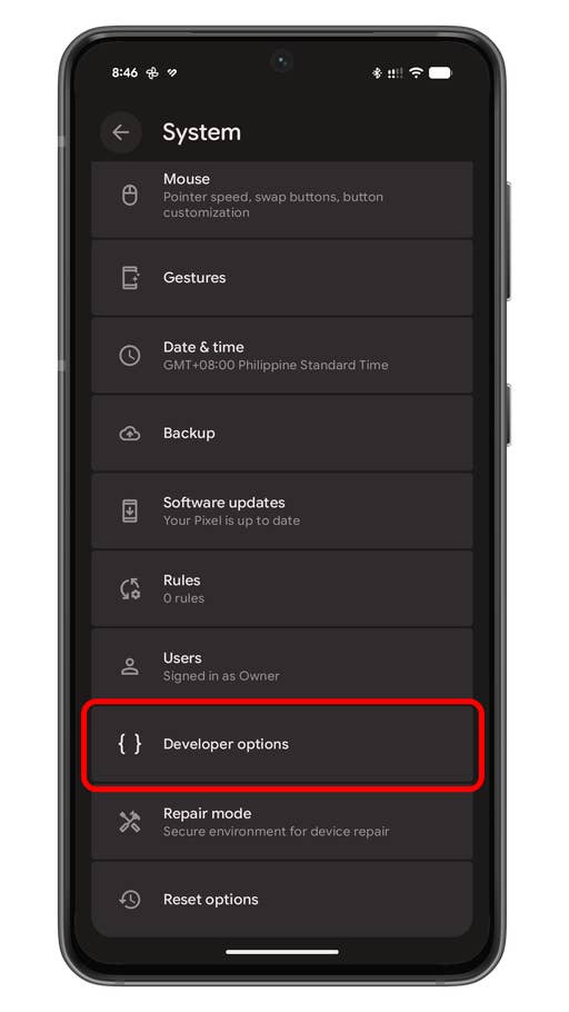 Settings menu on an Android device showing various system options including Developer options highlighted.