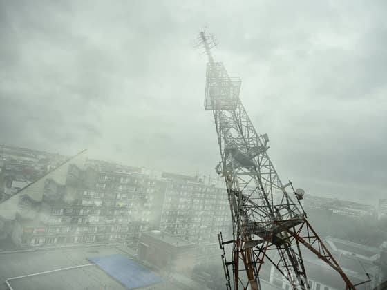 Study claims 5G ‘overheats insect antennas’