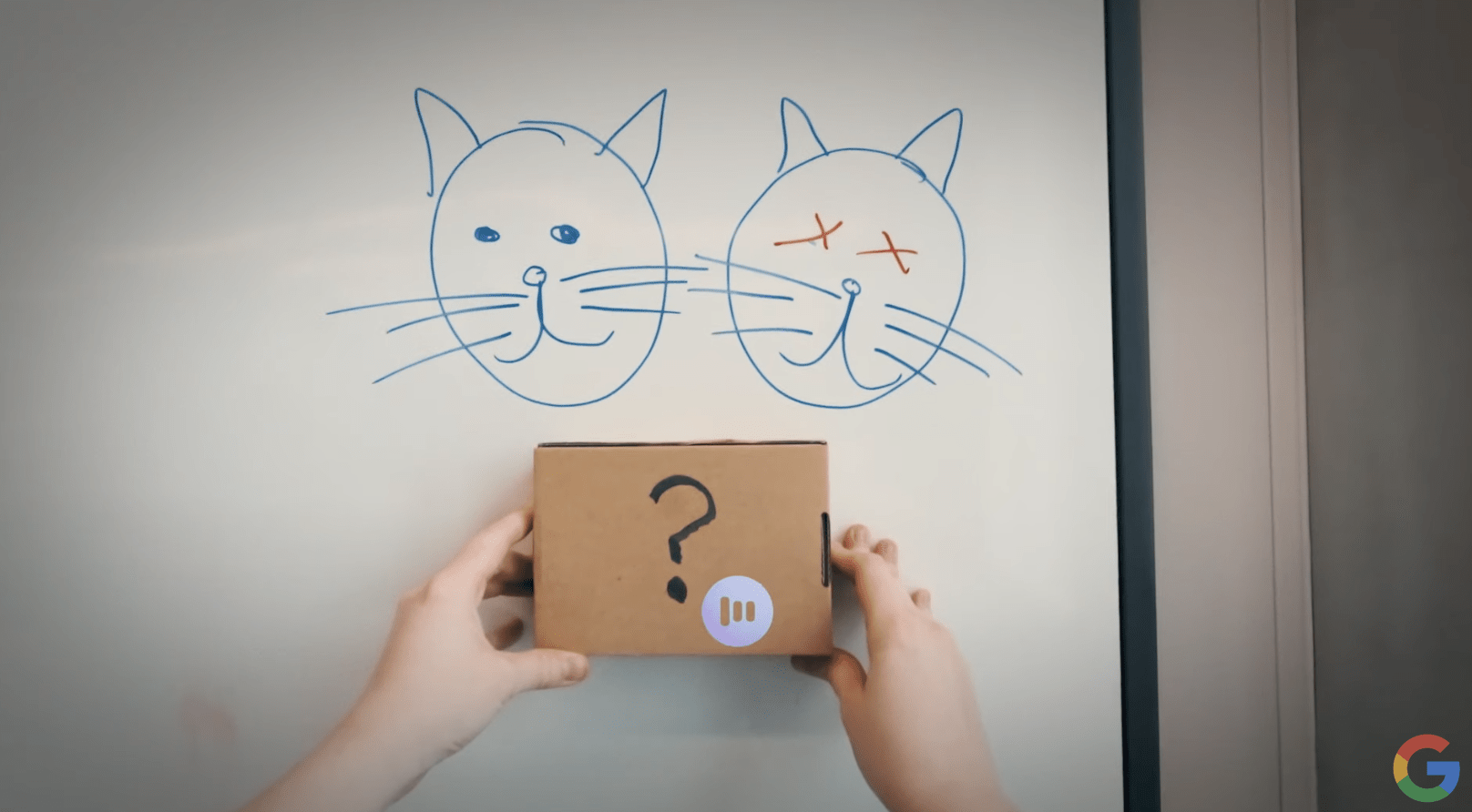 Your guess is as good as mine where the life of Schrödinger's Cat is concerned. Your guess is as good as mine where the life of Schrödinger's Cat is concerned.