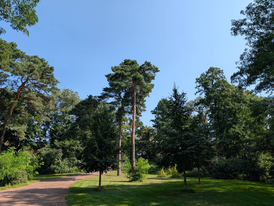 Daytime photo taken with the Google Pixel 9 Pro XL