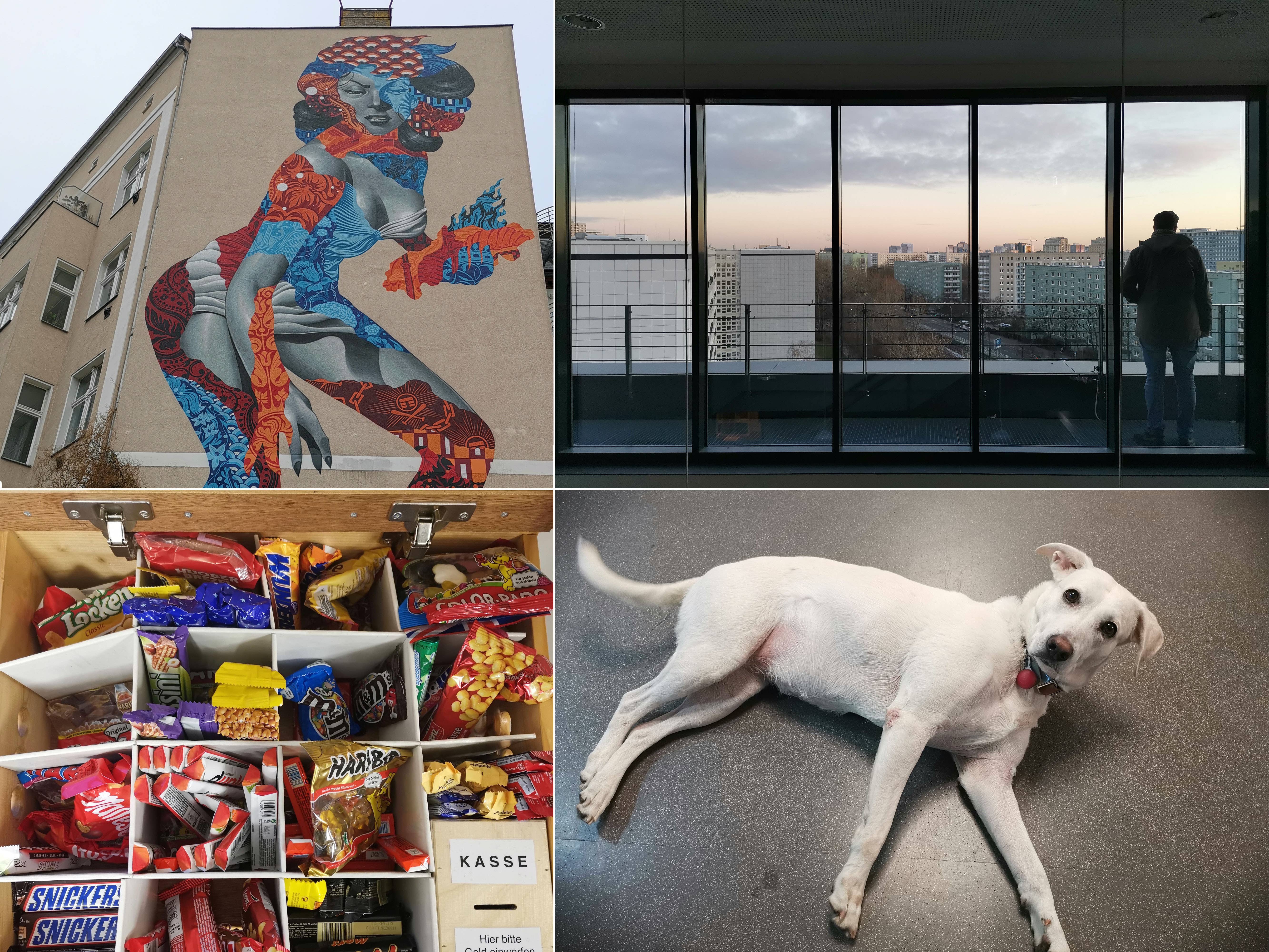 honor view 20 colors