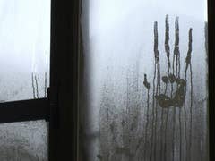 A handprint on a foggy window.