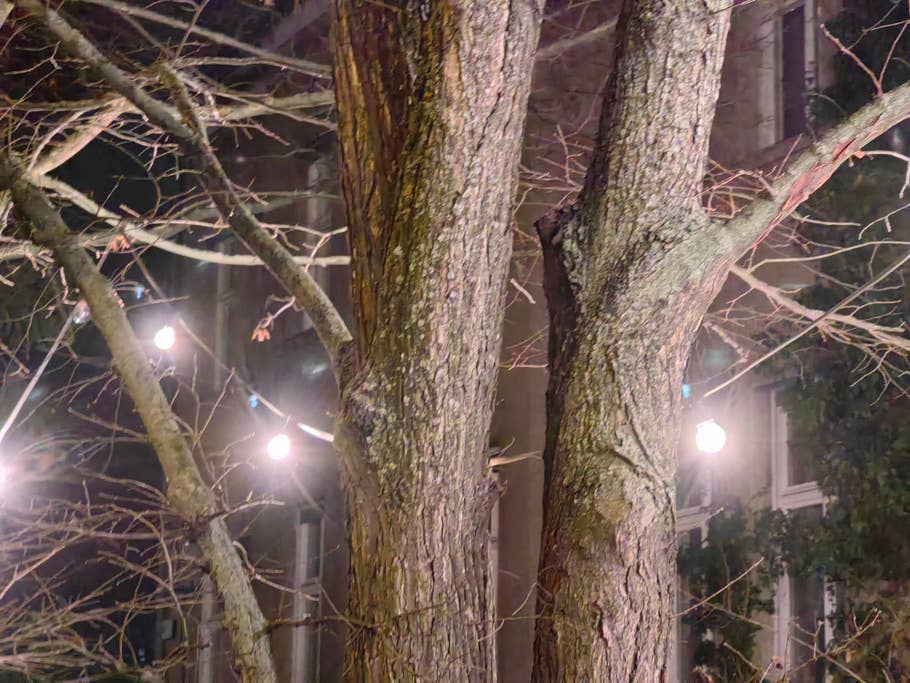 Huawei Mate 50 Pro review picture