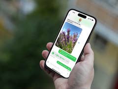 Apple iPhone 15 Pro Max with RCS enabled after the iOS 18 update