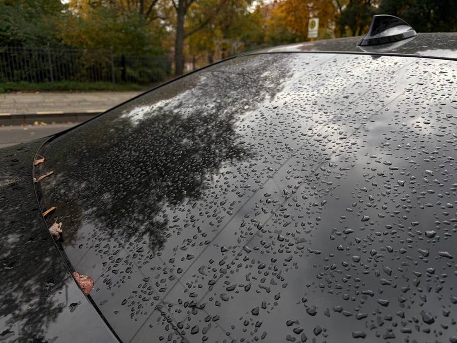 Close-up of a wet car window with water drops and some fallen leaves.