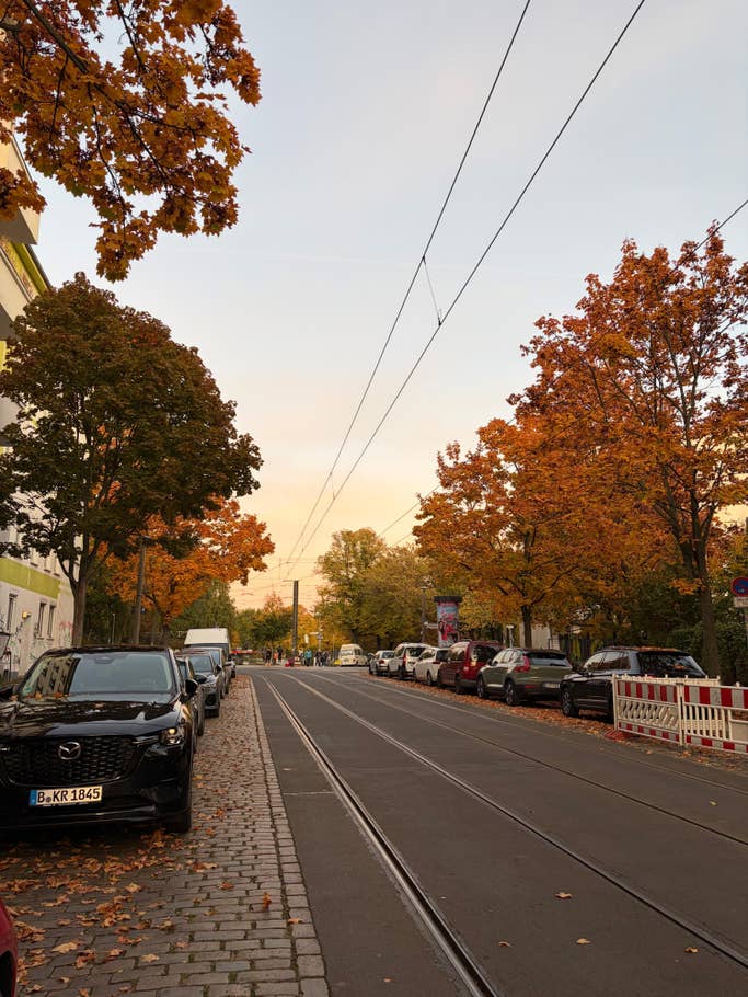 Street with parked cars and trees with autumn leaves under a clear sky.