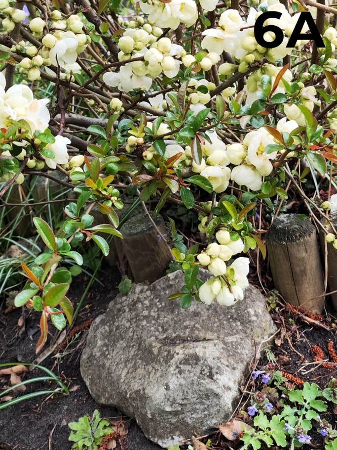 blind-test-photo-h1-2022