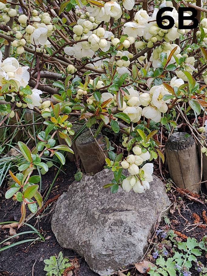 blind-test-photo-h1-2022