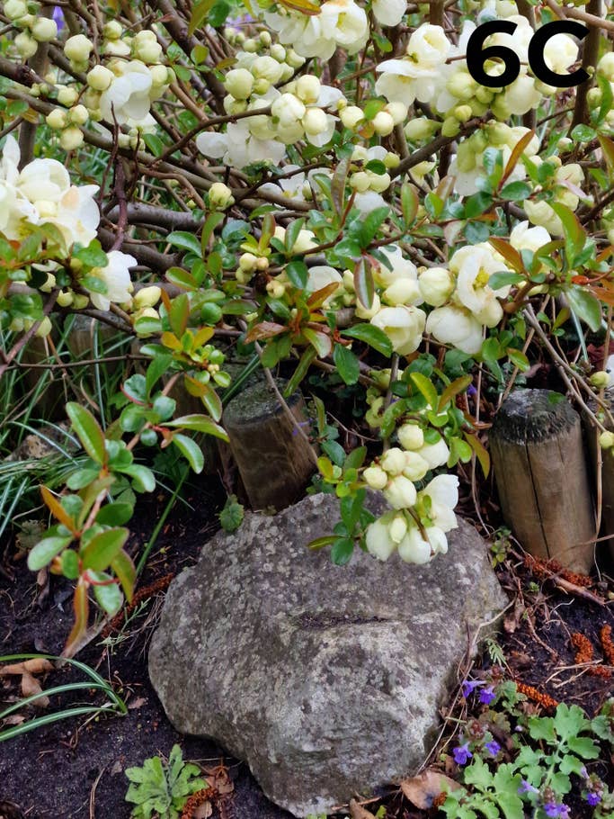 blind-test-photo-h1-2022