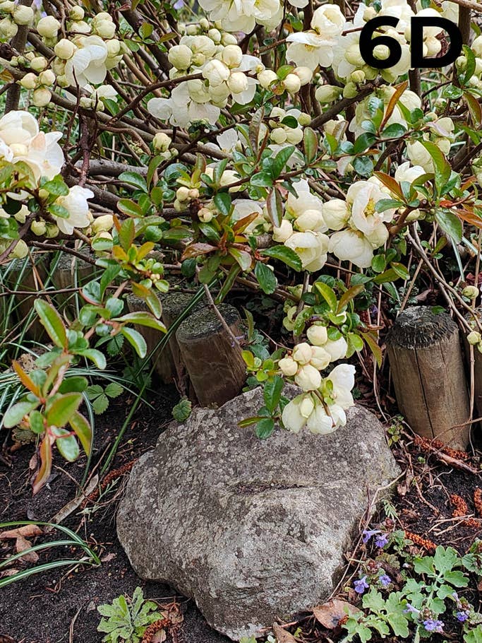 blind-test-photo-h1-2022