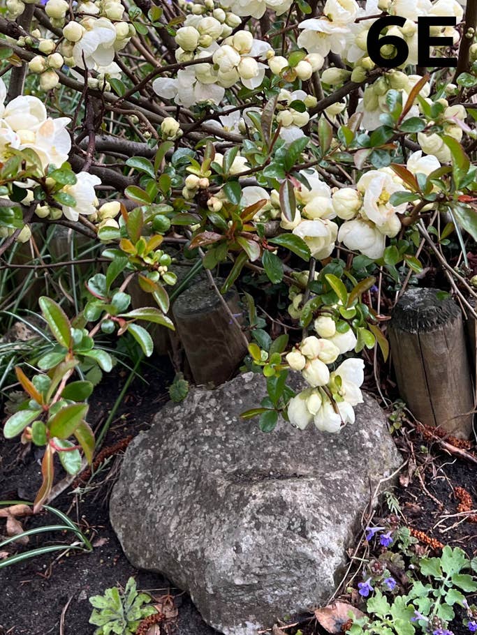 blind-test-photo-h1-2022