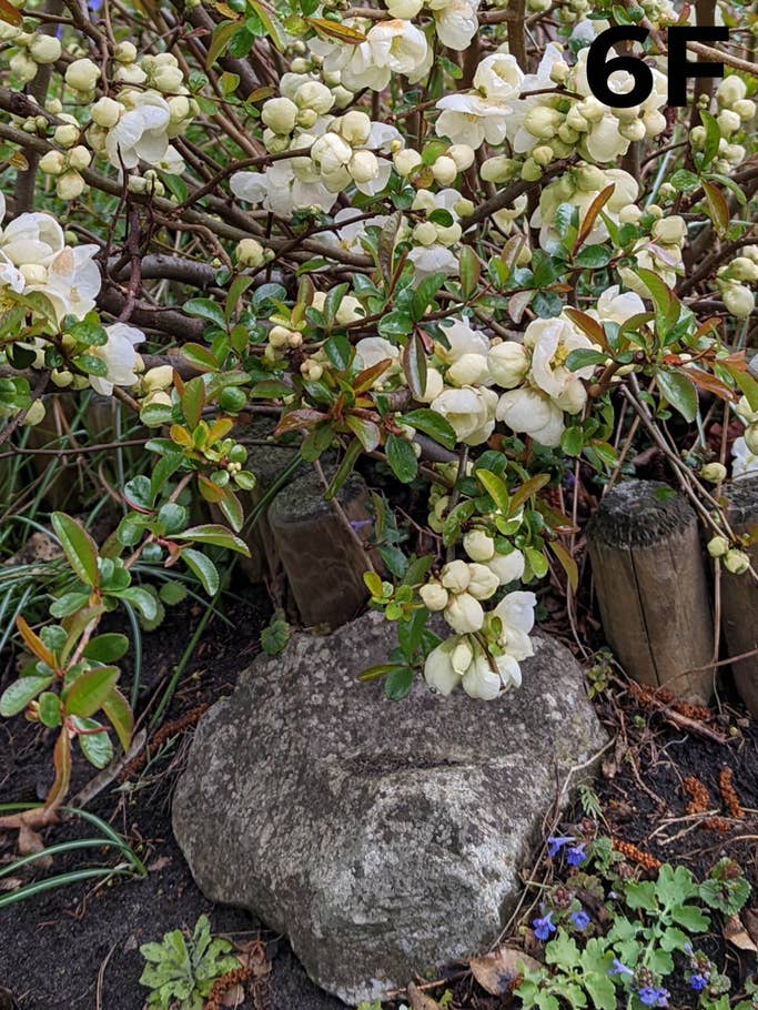 blind-test-photo-h1-2022