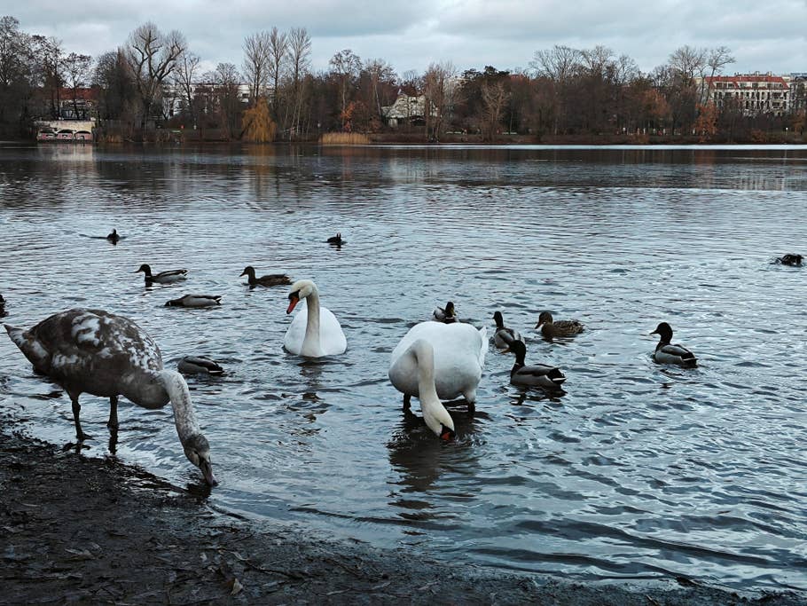 Xiaomi 13 sample photos