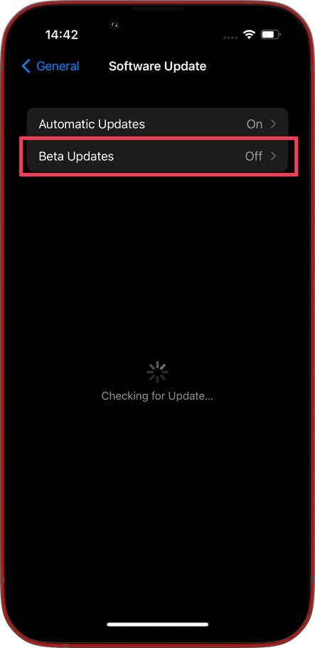 Screenshots showing how to install an iOS public beta