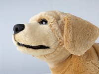 Jennie Robot Puppy at CES 2026