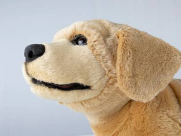 Jennie Robot Puppy at CES 2026