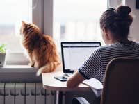 Home Office with a cat